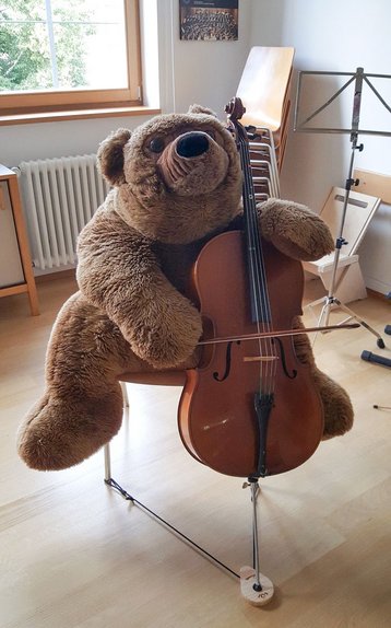Violoncello Violoncello
